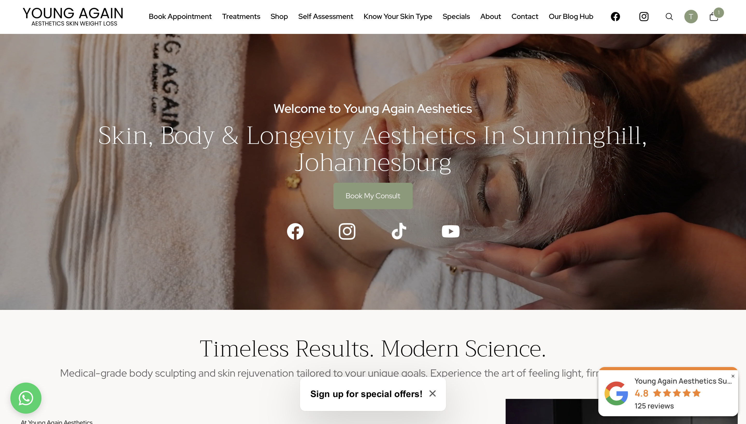 Young Aesthetics website